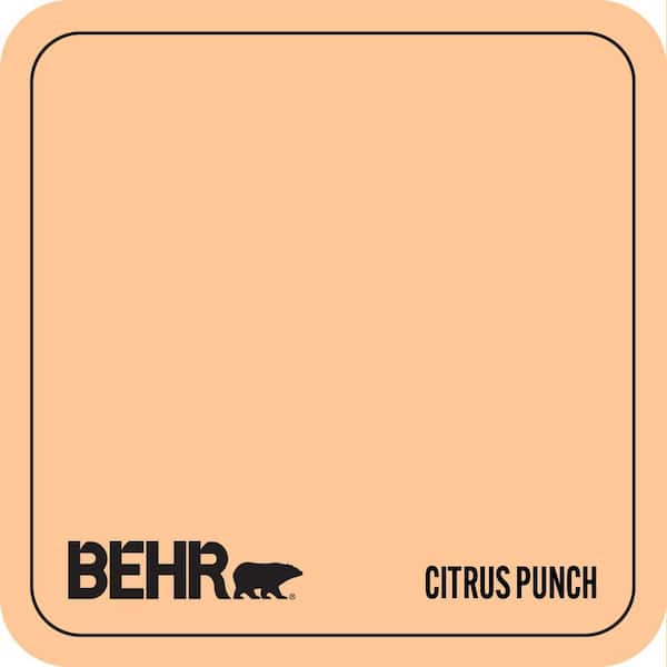 P230-4 Citrus Punch Paint