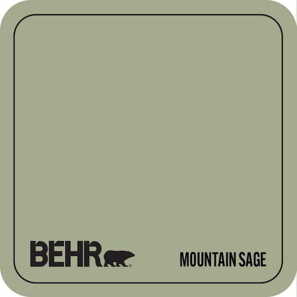 PMD-36 Mountain Sage Paint