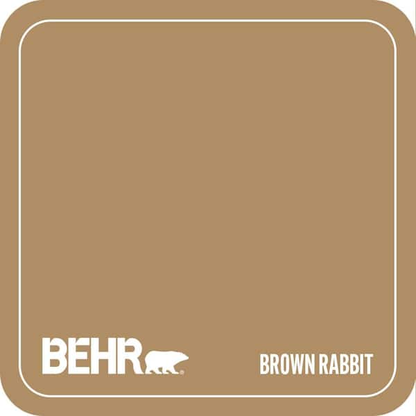 300F-5 Brown Rabbit Paint