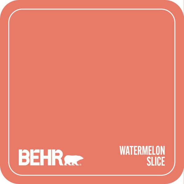 P180-5 Watermelon Slice Paint