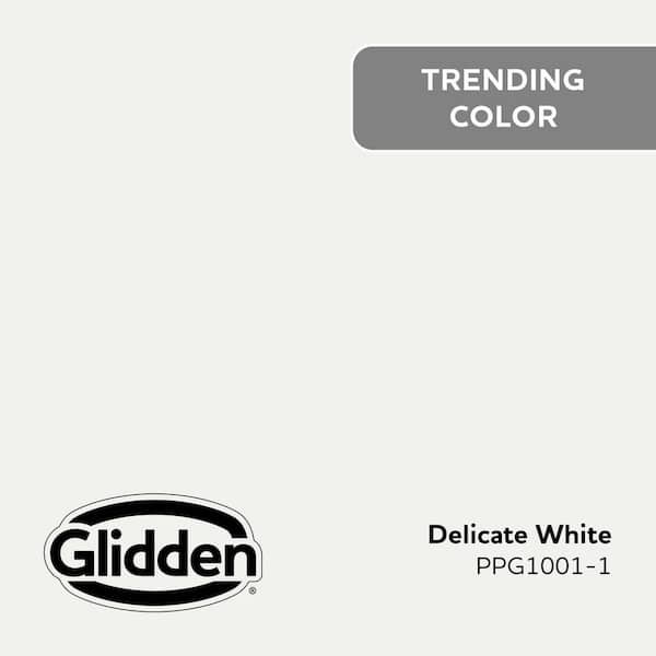 Delicate White PPG1001-1 Paint - Comparable to BENJAMIN MOORE'S Snowfall White