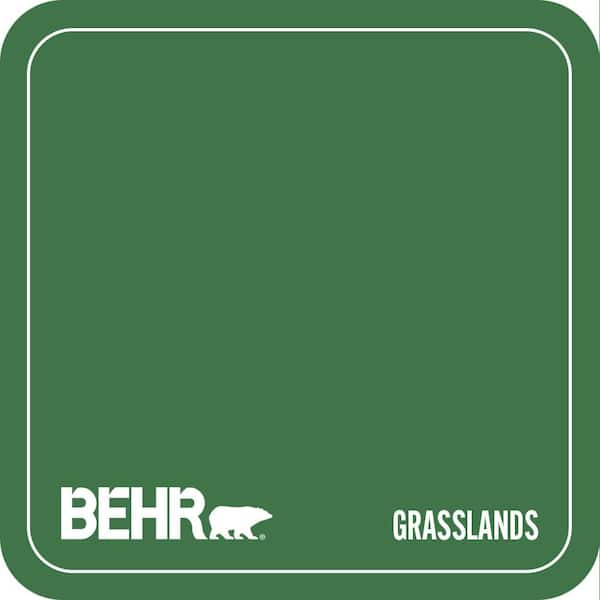 P410-7 Grasslands Paint