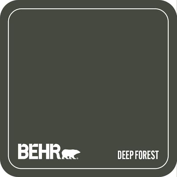 BXC-12 Deep Forest Paint