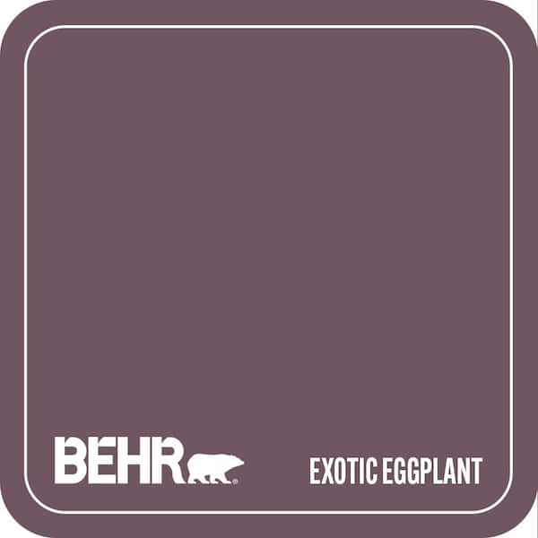 S110-7 Exotic Eggplant Paint
