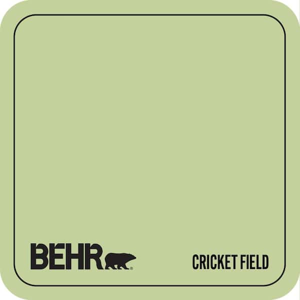 P370-4 Cricket Field Paint