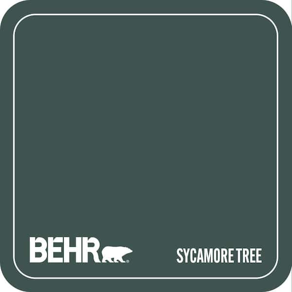 480F-7 Sycamore Tree Paint
