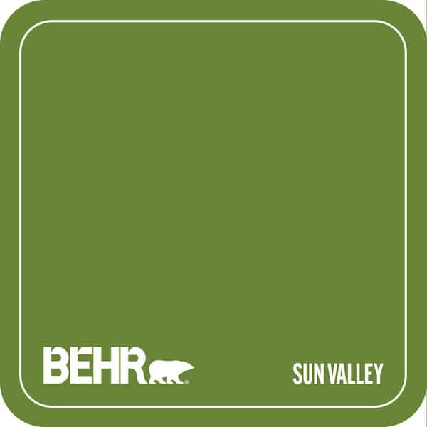 P370-7 Sun Valley Paint