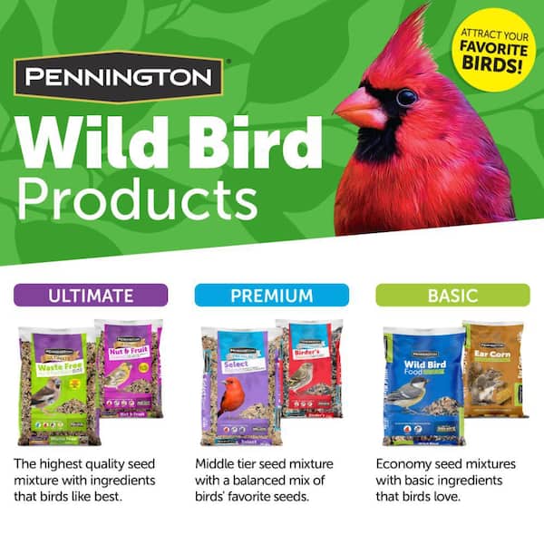 Pennington 6 lb. Wild Bird Feed Jug 100517228 - The Home Depot