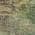 Beige color or pattern variation