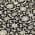 Black color or pattern variation