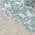 Gray color or pattern variation