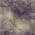 Plum color or pattern variation