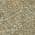 Olive color or pattern variation