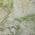Green color or pattern variation