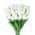 White color or pattern variation