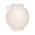 White color or pattern variation
