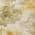 Gold color or pattern variation