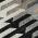 Black color or pattern variation