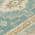 Aqua color or pattern variation