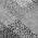 Gray color or pattern variation