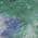 Green color or pattern variation