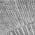Gray color or pattern variation