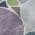 Plum color or pattern variation