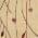Cream color or pattern variation