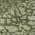 Olive color or pattern variation