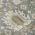 Gray color or pattern variation