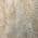 Brown color or pattern variation