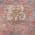 Coral color or pattern variation
