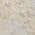 Ivory color or pattern variation