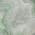 Green color or pattern variation