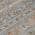 Gray color or pattern variation
