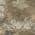 Brown color or pattern variation