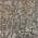 Taupe color or pattern variation