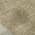 Gold color or pattern variation