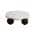White Black color or pattern variation