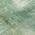 Fern color or pattern variation