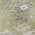 Taupe color or pattern variation