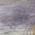 Purple color or pattern variation