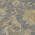 Gray color or pattern variation