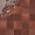 Chestnut Brown color or pattern variation