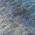Blue color or pattern variation