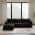 Black ( 4 Seater ) color or pattern variation