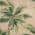 Clay / Green color or pattern variation
