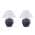 Black Smudged White color or pattern variation