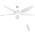white color or pattern variation