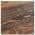 Trail Brown color or pattern variation